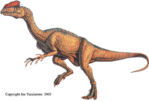 dilophosaurus_Tucci.jpg