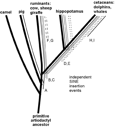 fig4.gif