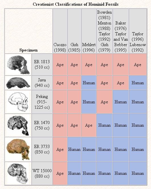 creationistbs.jpg~original