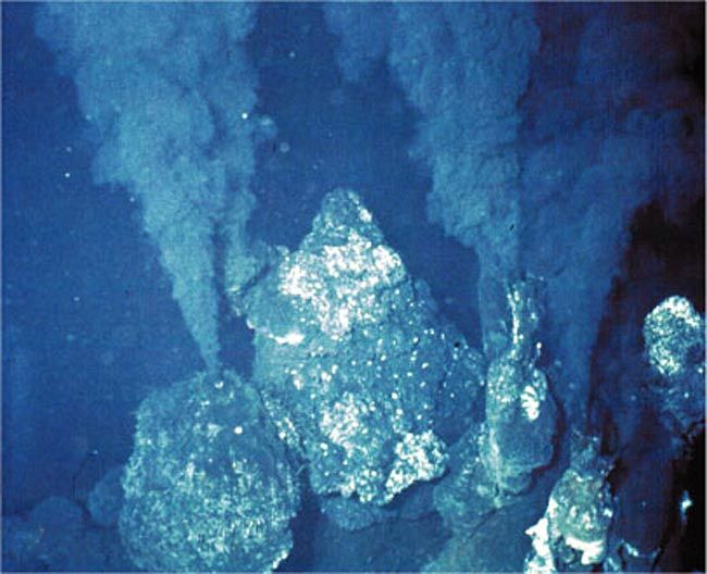 www.livescience.com