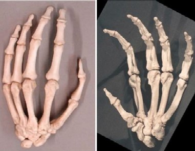 Fig_4.jpg