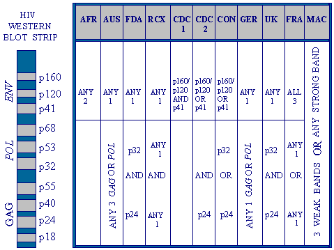 wbtests.gif