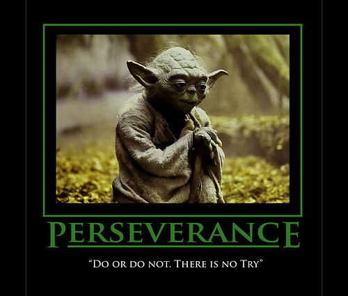 dsq3973-albums-misc+pictures-picture48687-yoda-do-do-not-there-no-try.jpg