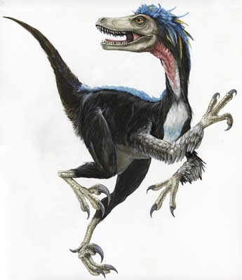 4_velociraptor.jpg