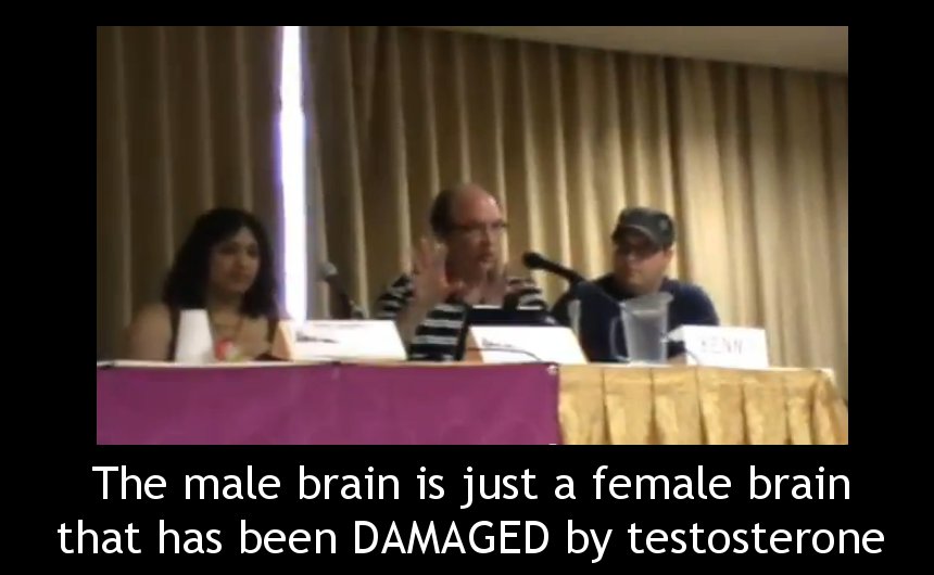 skepchick-brain-damage.jpg