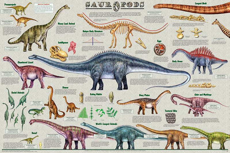 Sauropods_Poster.jpg