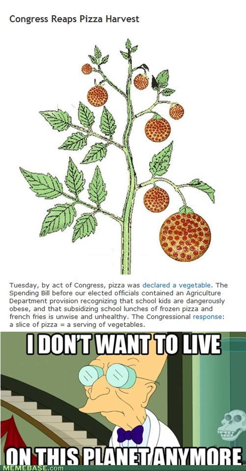 internet-memes-pizza-vegetable.jpg