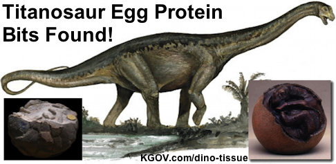 titanosaur-egg-protein-bits.jpg
