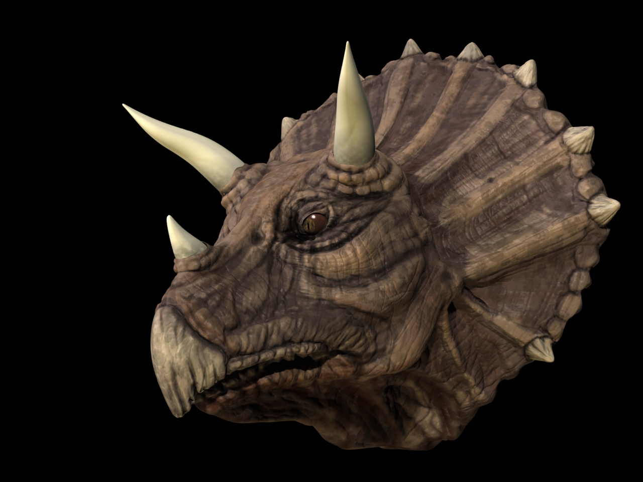 7419_triceratops3.jpg