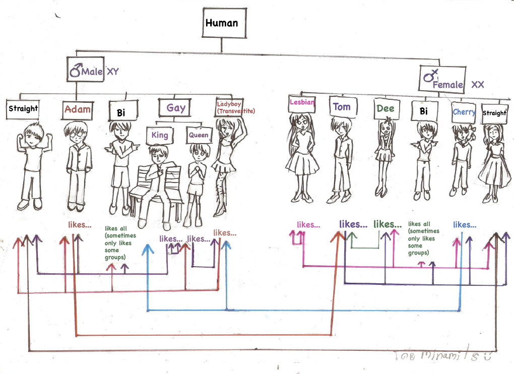 sexuality-diagram-2.png